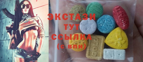 индика Вяземский