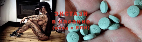 индика Вяземский