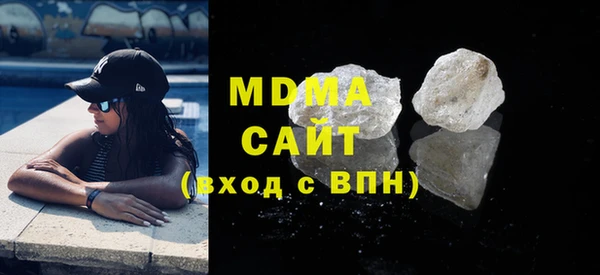 индика Вяземский