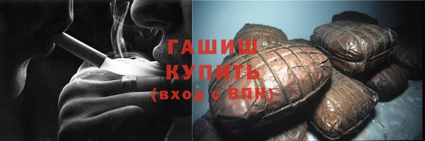 индика Вяземский