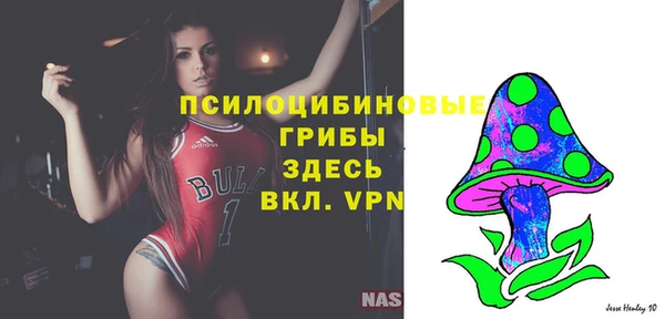 индика Вяземский