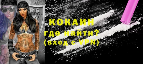 индика Вяземский