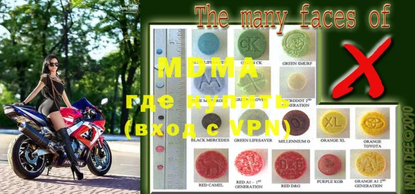 индика Вяземский