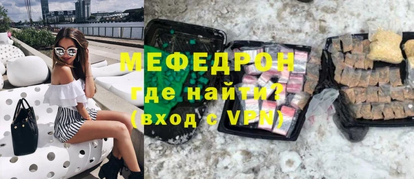 индика Вяземский