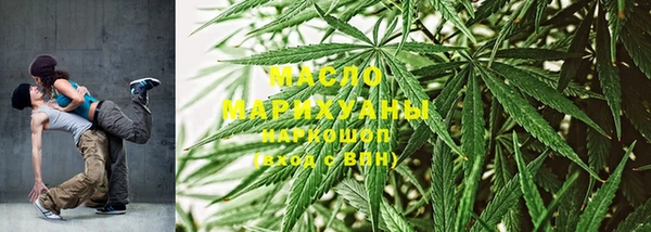 индика Вяземский