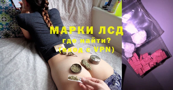 индика Вяземский