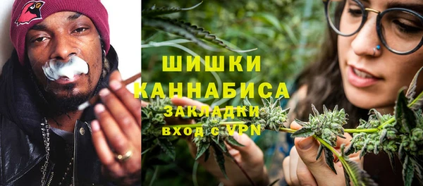 индика Вяземский