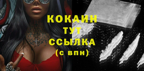 индика Вяземский