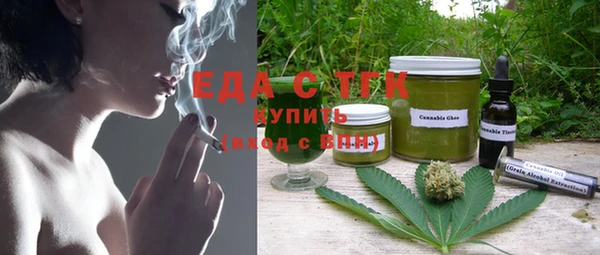 индика Вяземский