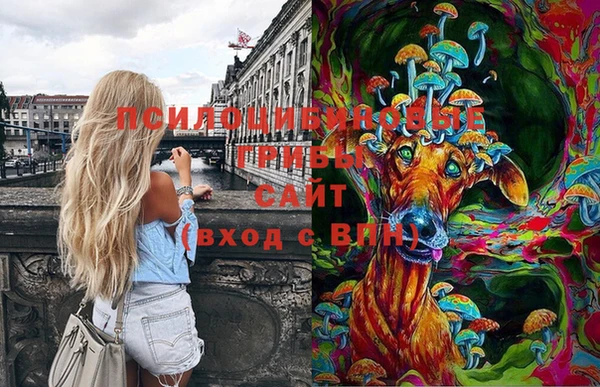 синтетический гашиш Вязьма