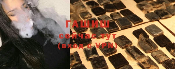 индика Вяземский